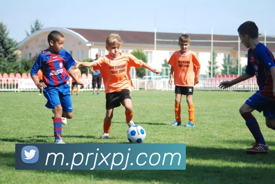 新葡京娱乐APP 体育赛事宣传图